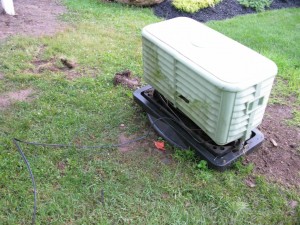 The fiber-optic head end on my front lawn, with a coaxial cable running out and up a tree