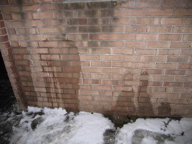 Urine on a brick wall at Quail and Western in Albany